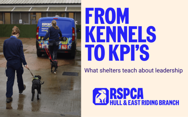 From Kennels to KPIs: What Shelters Teach About Leadership